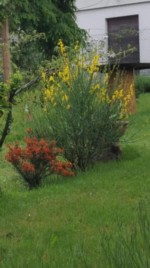 B & B Sentiero Valtellina Castello dell'Acqua 外观 照片