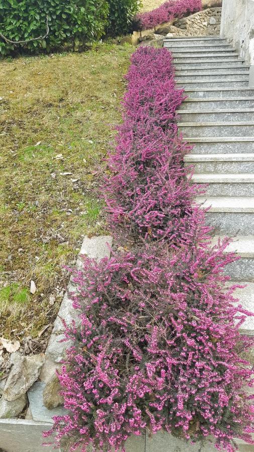 B & B Sentiero Valtellina Castello dell'Acqua 外观 照片
